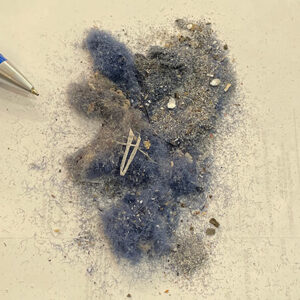 Post Construction Commercial Carpet Care with the Fast Foamer