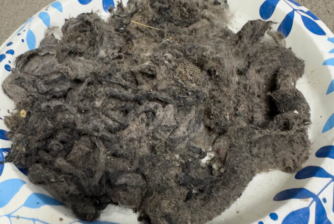 Deep Cleaning Flotex with the Fast Foamer System